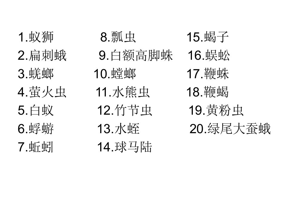 常见小虫100种(4)