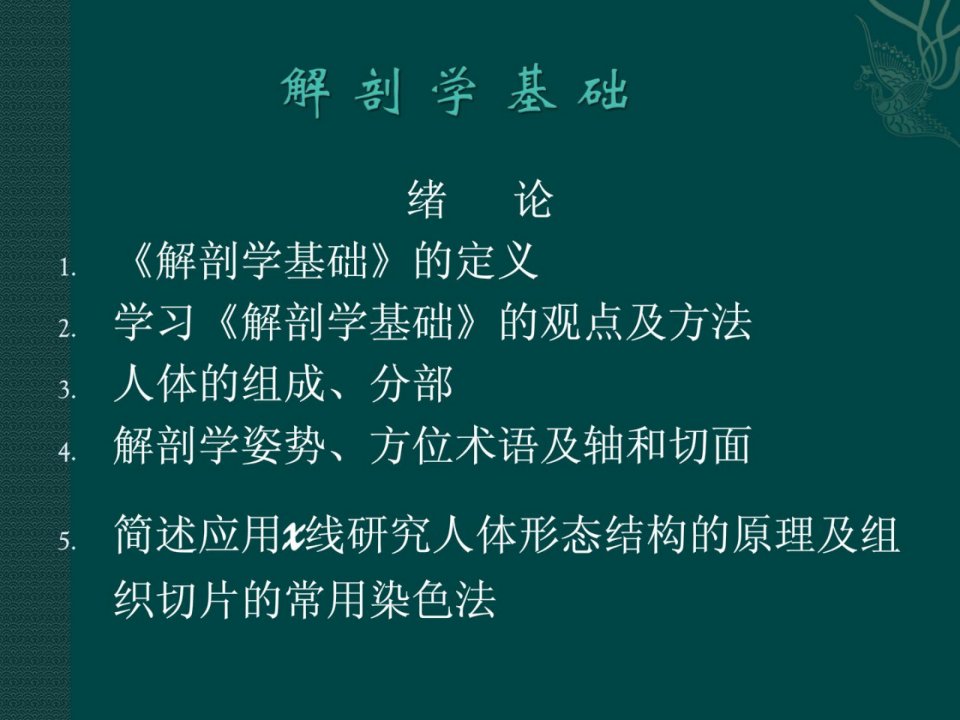 西医基础知识解剖学基础绪论