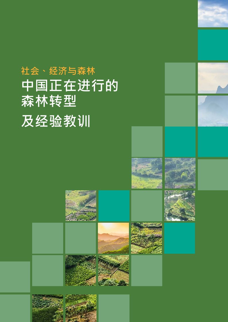 《社会、经济与森林：中国正在进行的森林转型及经验教训》