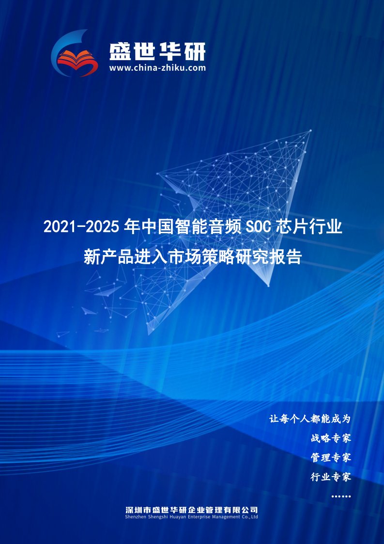 2021-2025年中国智能音频SoC芯片行业新产品进入市场策略研究报告