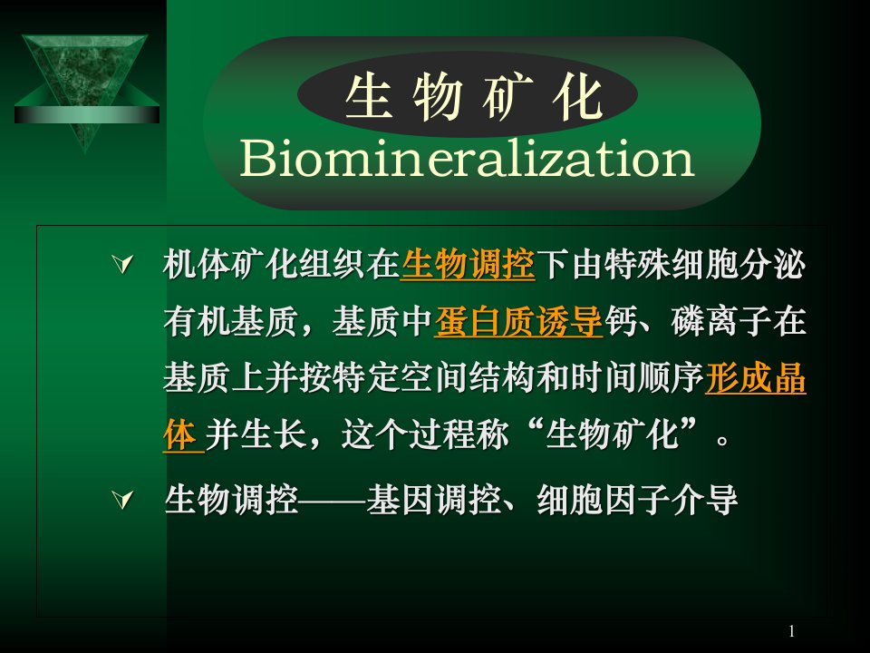 牙本质特异性蛋白与生物矿化课件