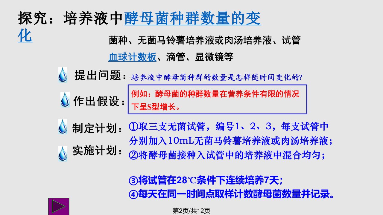 探究酵母菌数量变化