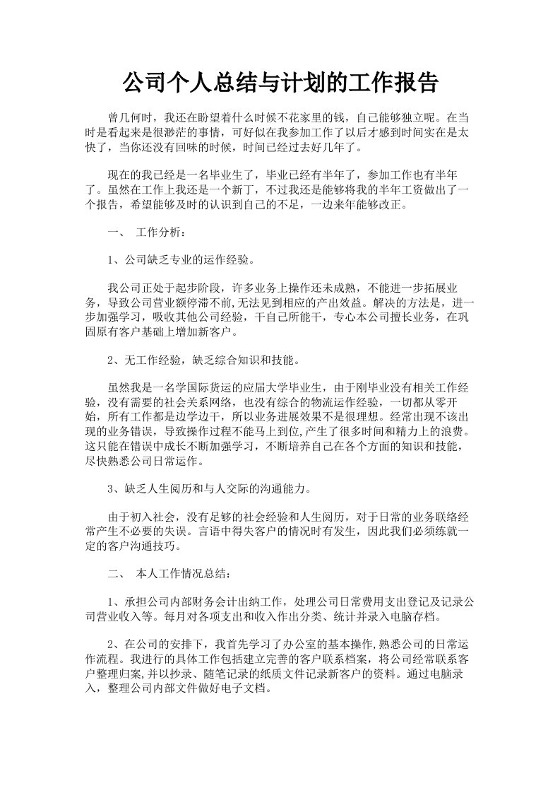 公司个人总结与计划的工作报告