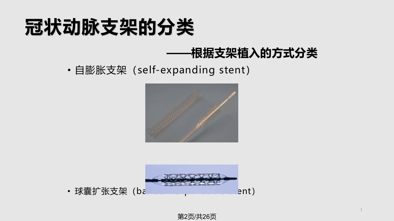 支架的选择及置入技术