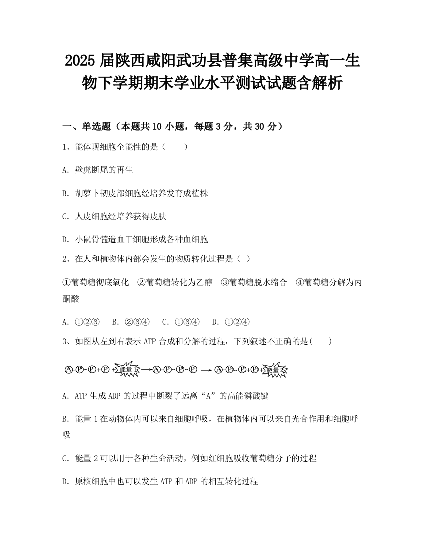 2025届陕西咸阳武功县普集高级中学高一生物下学期期末学业水平测试试题含解析