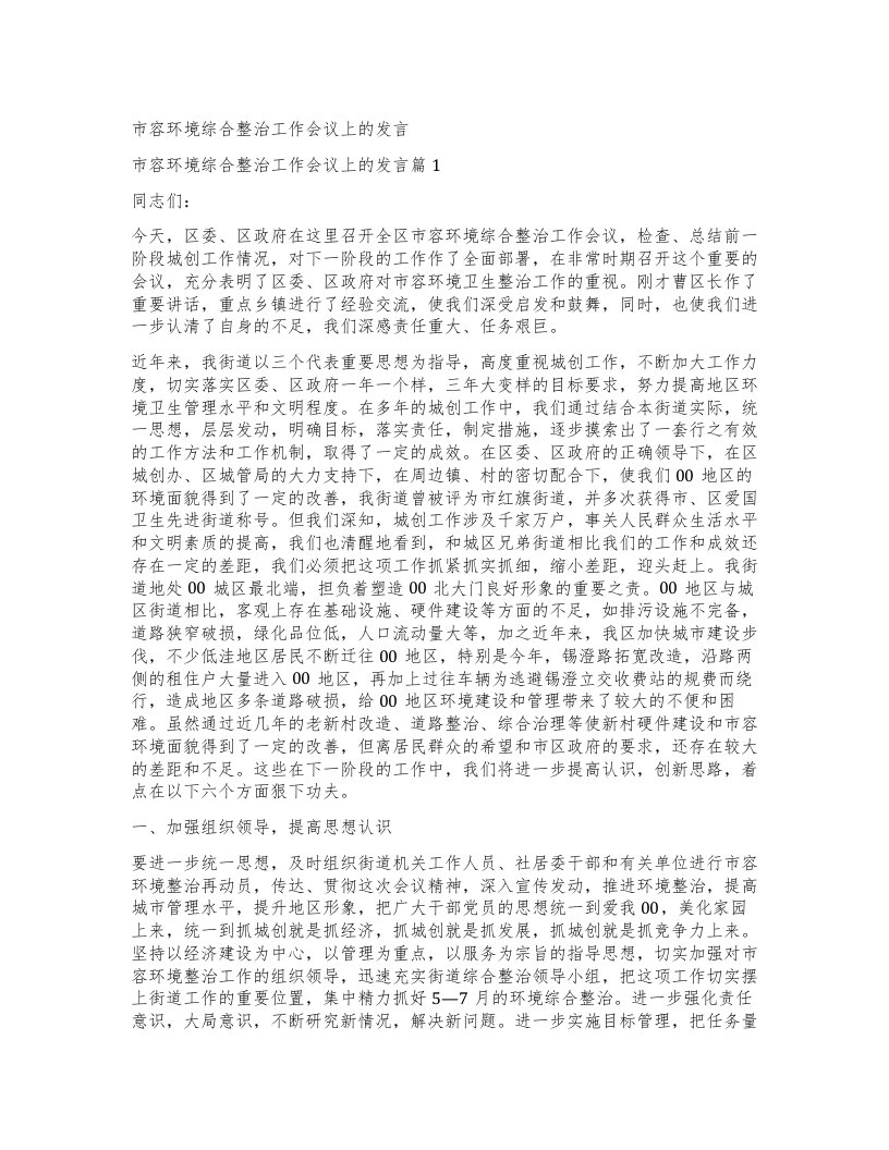 市容环境综合整治工作会议上的发言