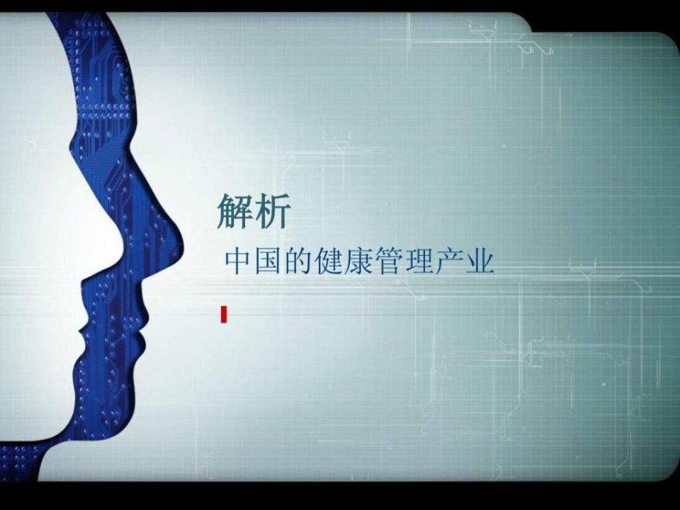 中国的健康管理产业解析_图文