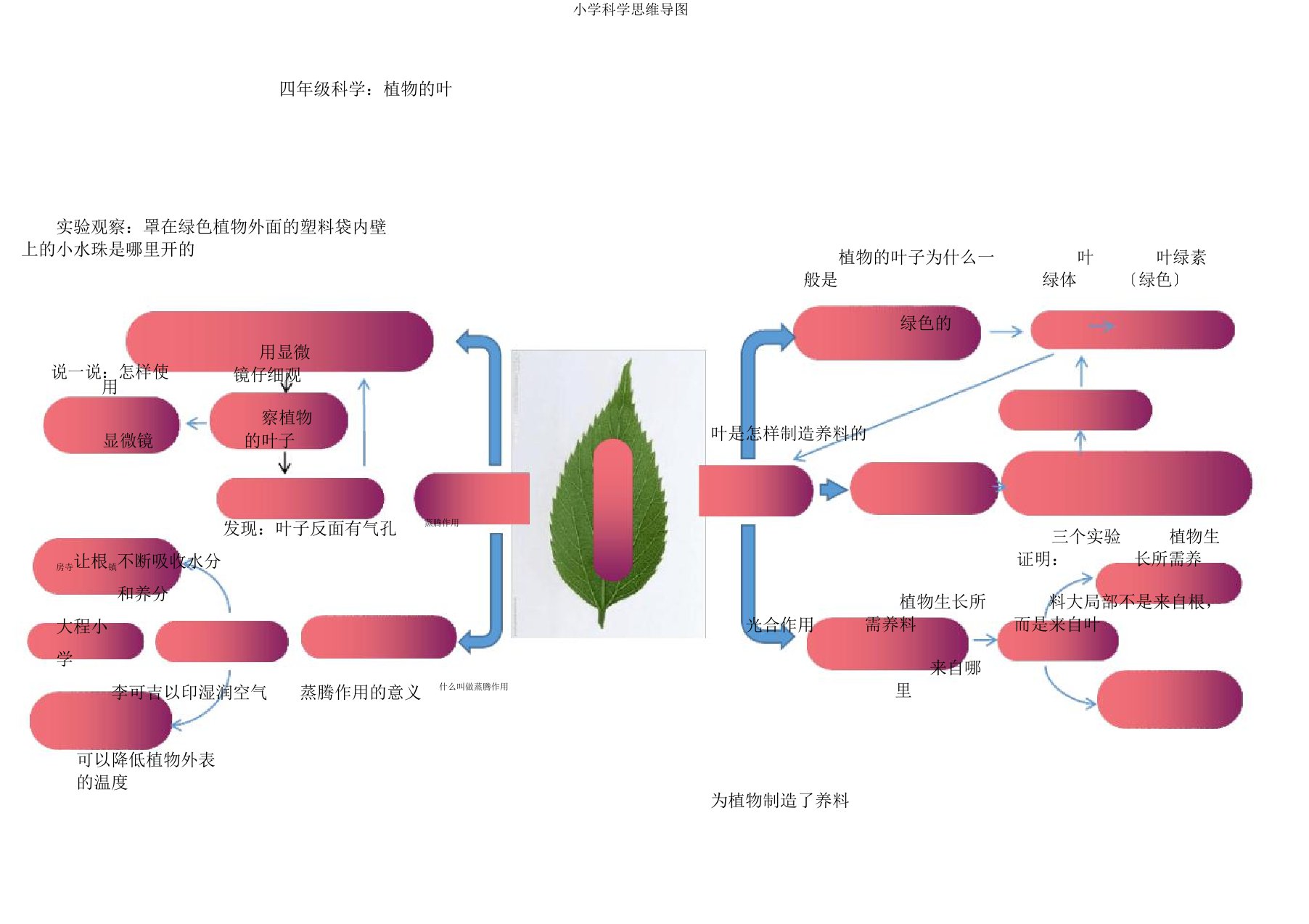 小学科学思维导图