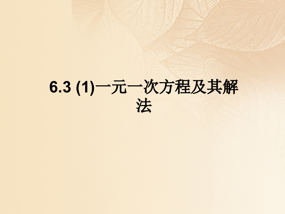 上海市松江区六年级数学下册6.3一元一次方程及其解法(1)课件沪教版五四制