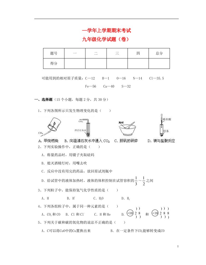 陕西省渭南市大荔县九级化学上学期期末考试试题