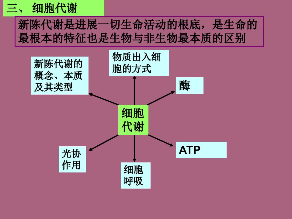 生物学案细胞代谢ppt课件