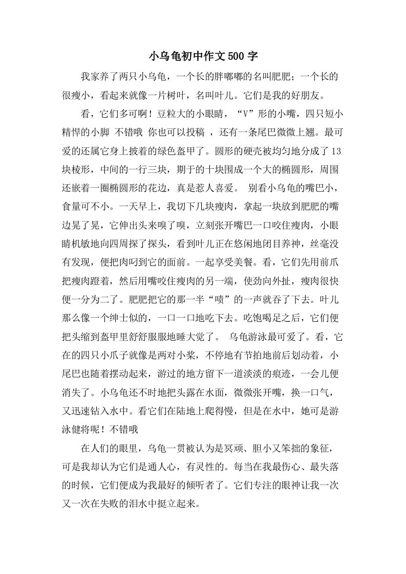 小乌龟初中作文500字