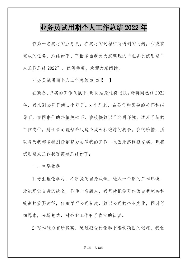 业务员试用期个人工作总结2022年