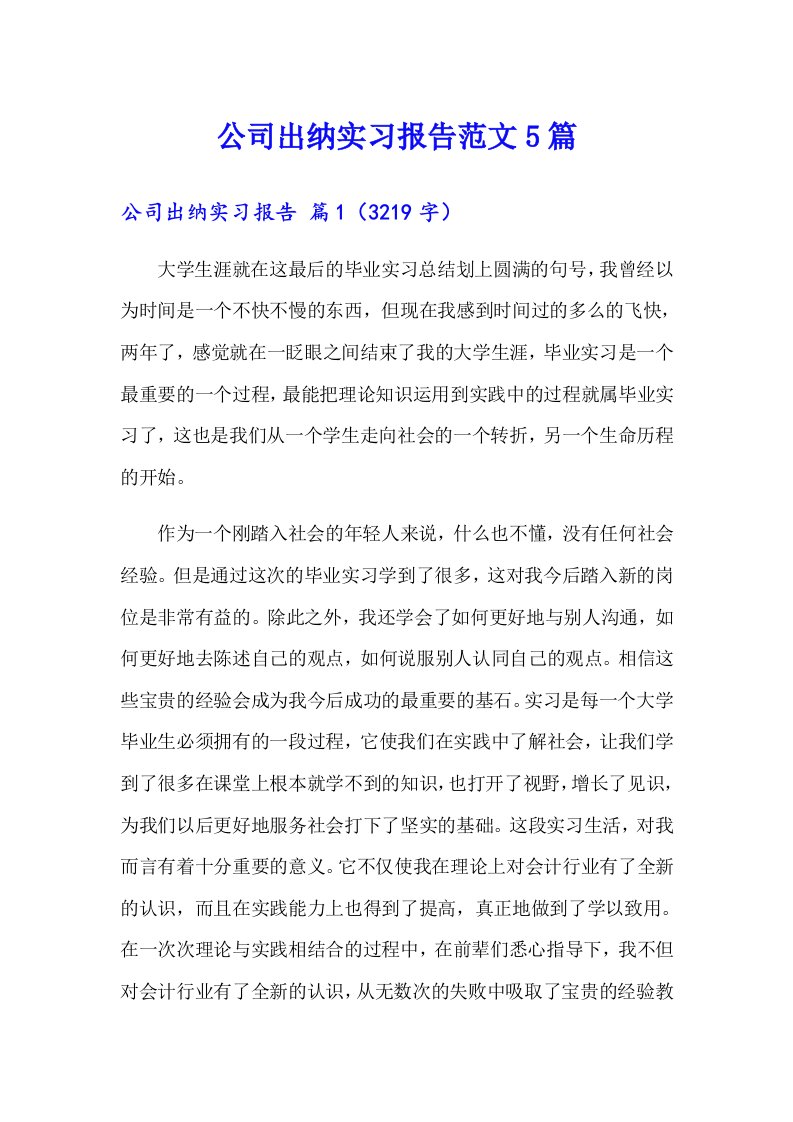 公司出纳实习报告范文5篇