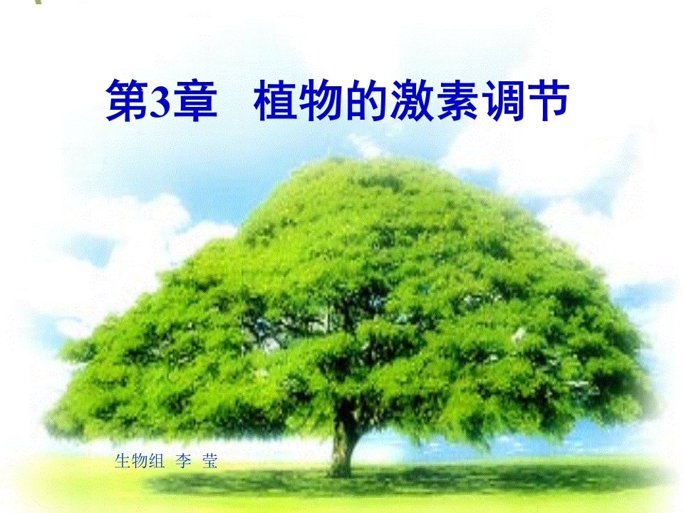 植物生长素的发现(动画很好)