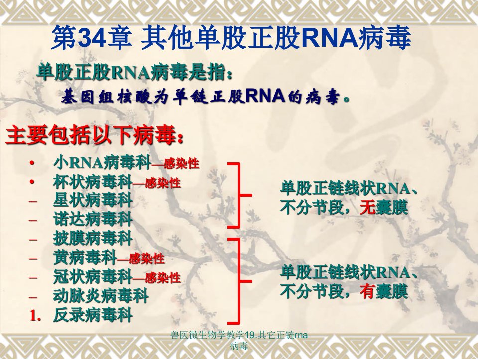 兽医微生物学教学19.其它正链rna病毒课件