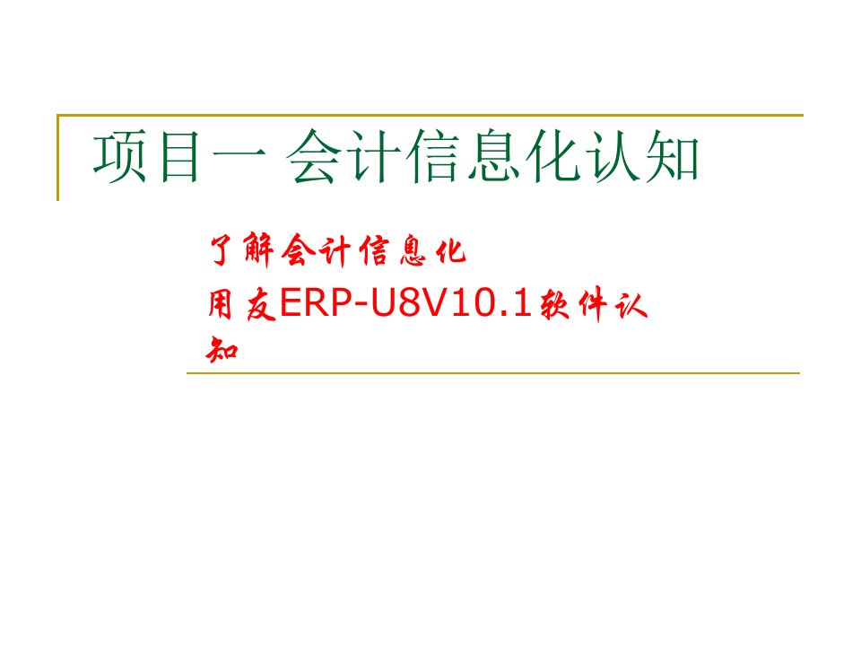 项目一会计信息化认知