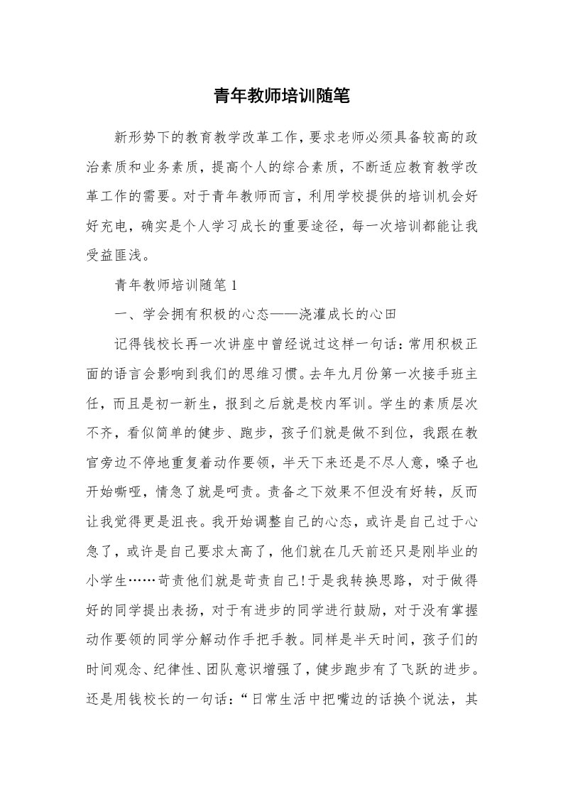 教师随笔心得_青年教师培训随笔