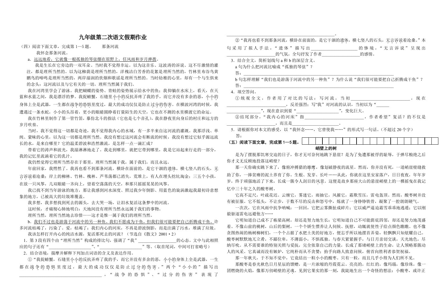 九年级第二次语文假期作业