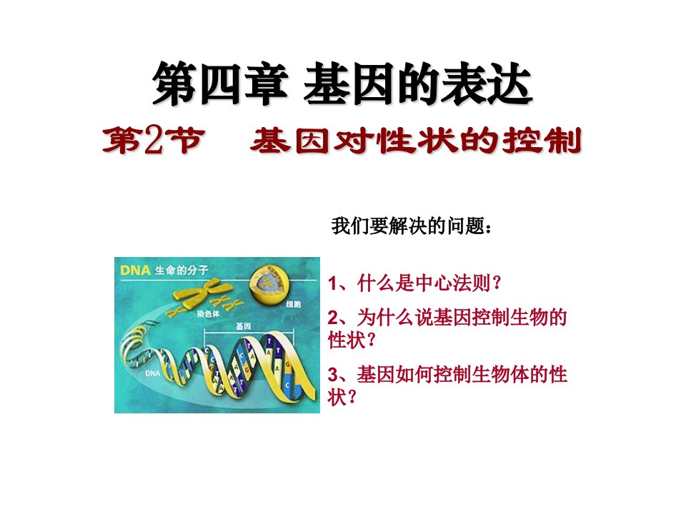 基因对性状的控制(公开课)