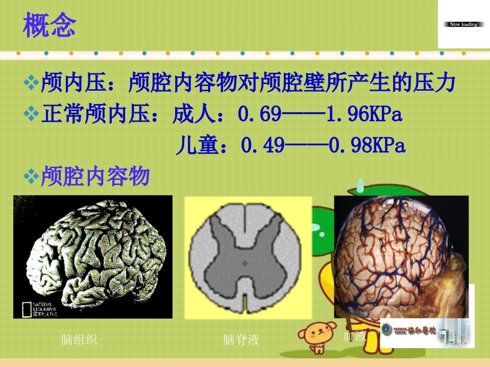 颅内高压的护理课件