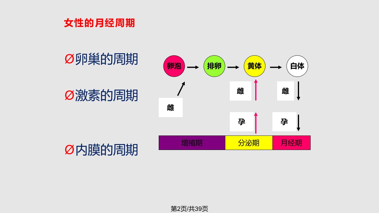 雌孕激素协同和拮抗作用