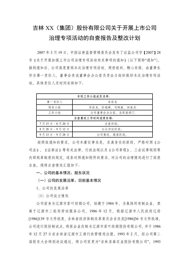 精选某公司治理报告及整改计划