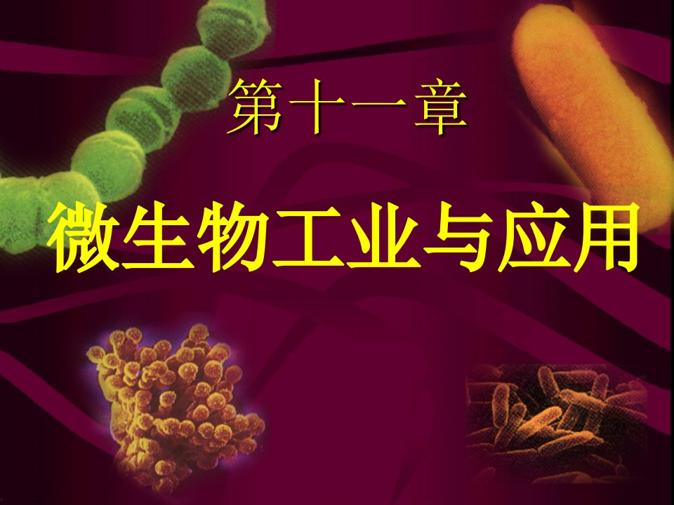 微生物学讲义第十一章