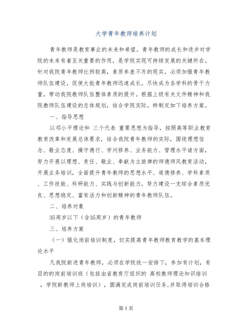 大学青年教师培养计划