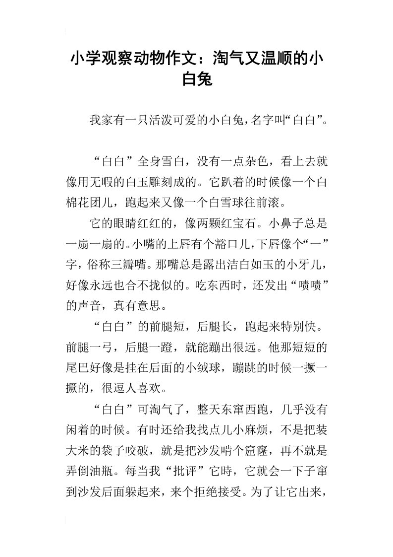 小学观察动物作文：淘气又温顺的小白兔