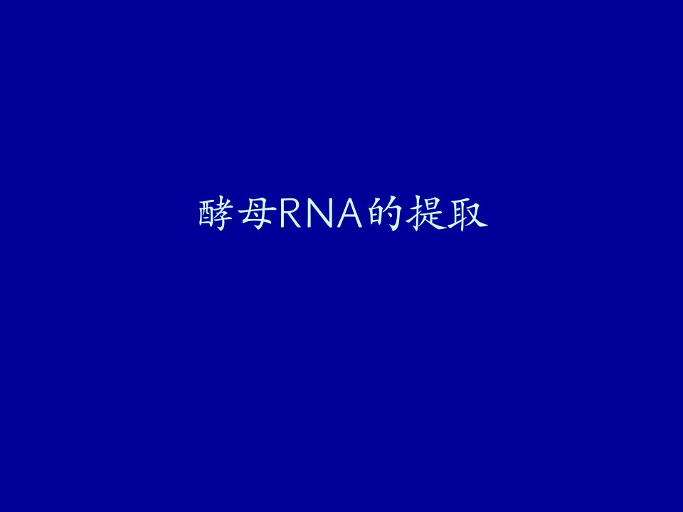 酵母RNA的提取