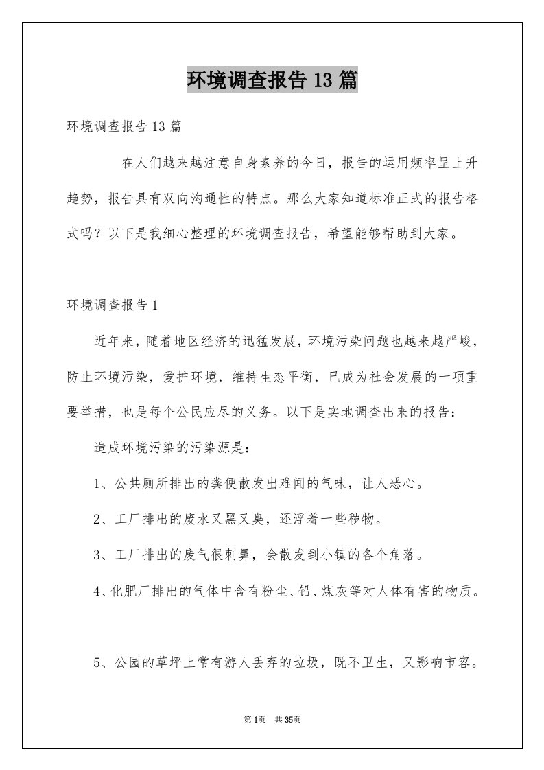 环境调查报告13篇