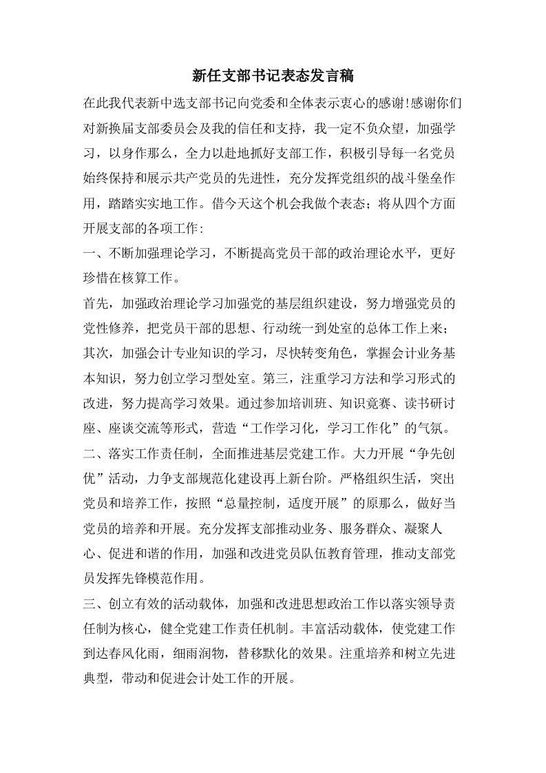 新任支部书记表态发言稿