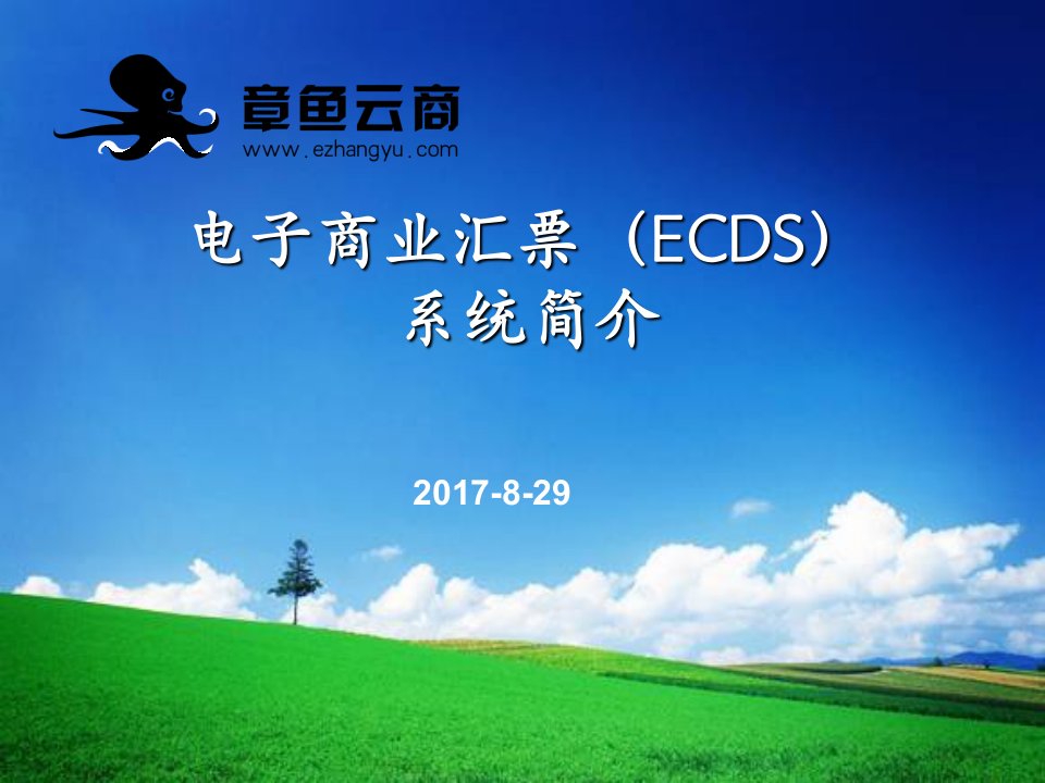 电子商票(ECDS)系统简介