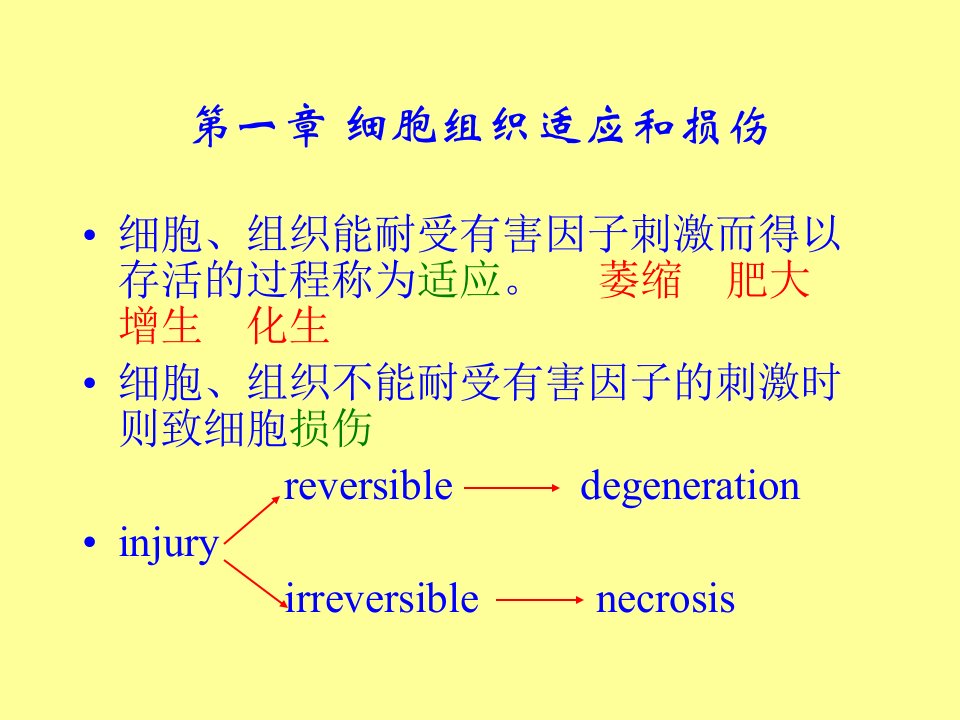 细胞组织适应和损伤