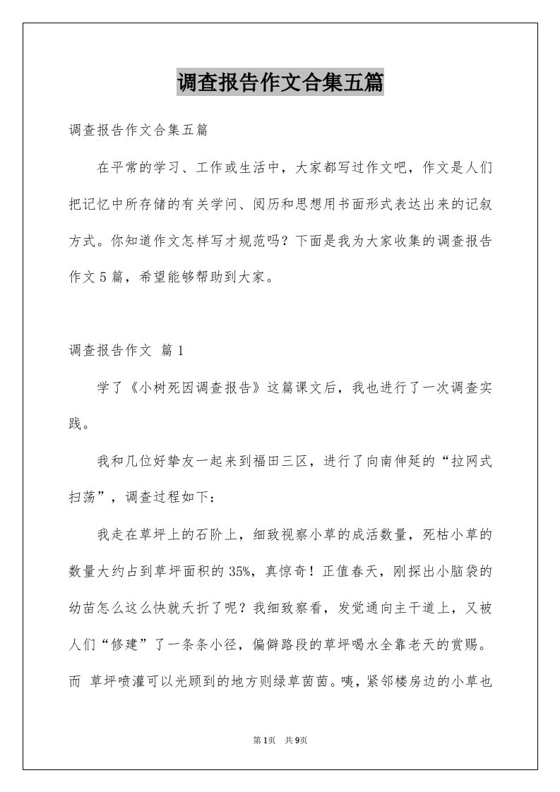 调查报告作文合集五篇精选