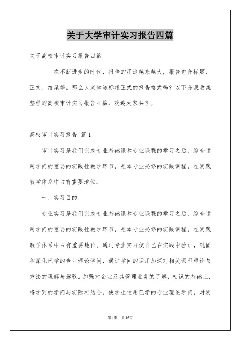 关于大学审计实习报告四篇