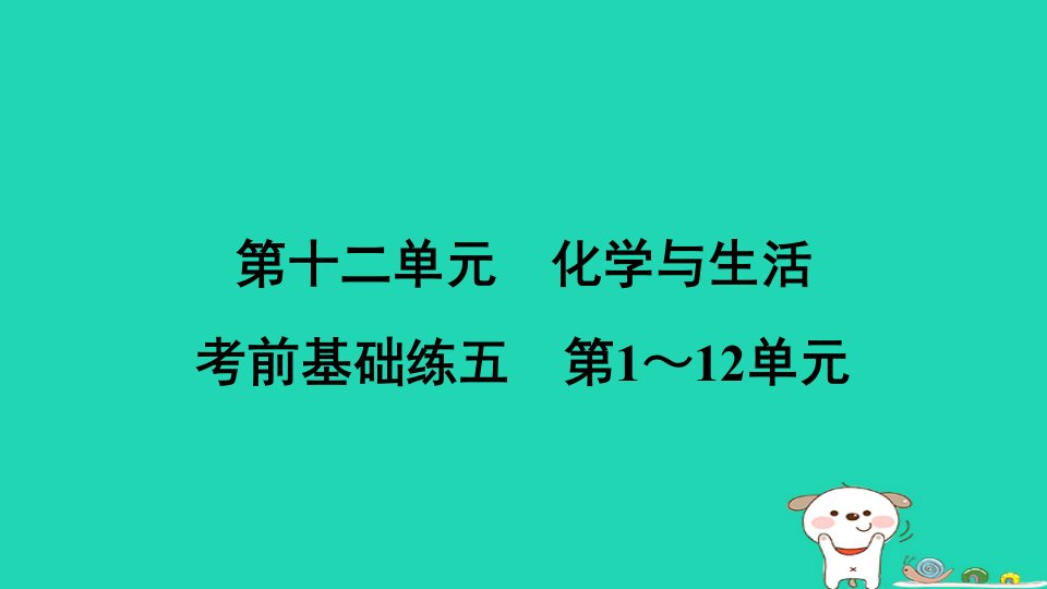 安徽省2024九年级化学下册第十二单元化学与生活考前基础练五第1～12单元课件新版新人教版