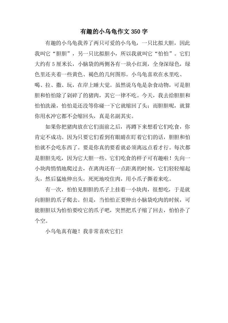 有趣的小乌龟作文350字