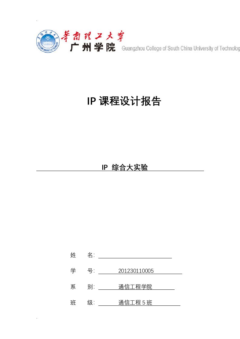 IP通信基础课程设计报告--大综合实验