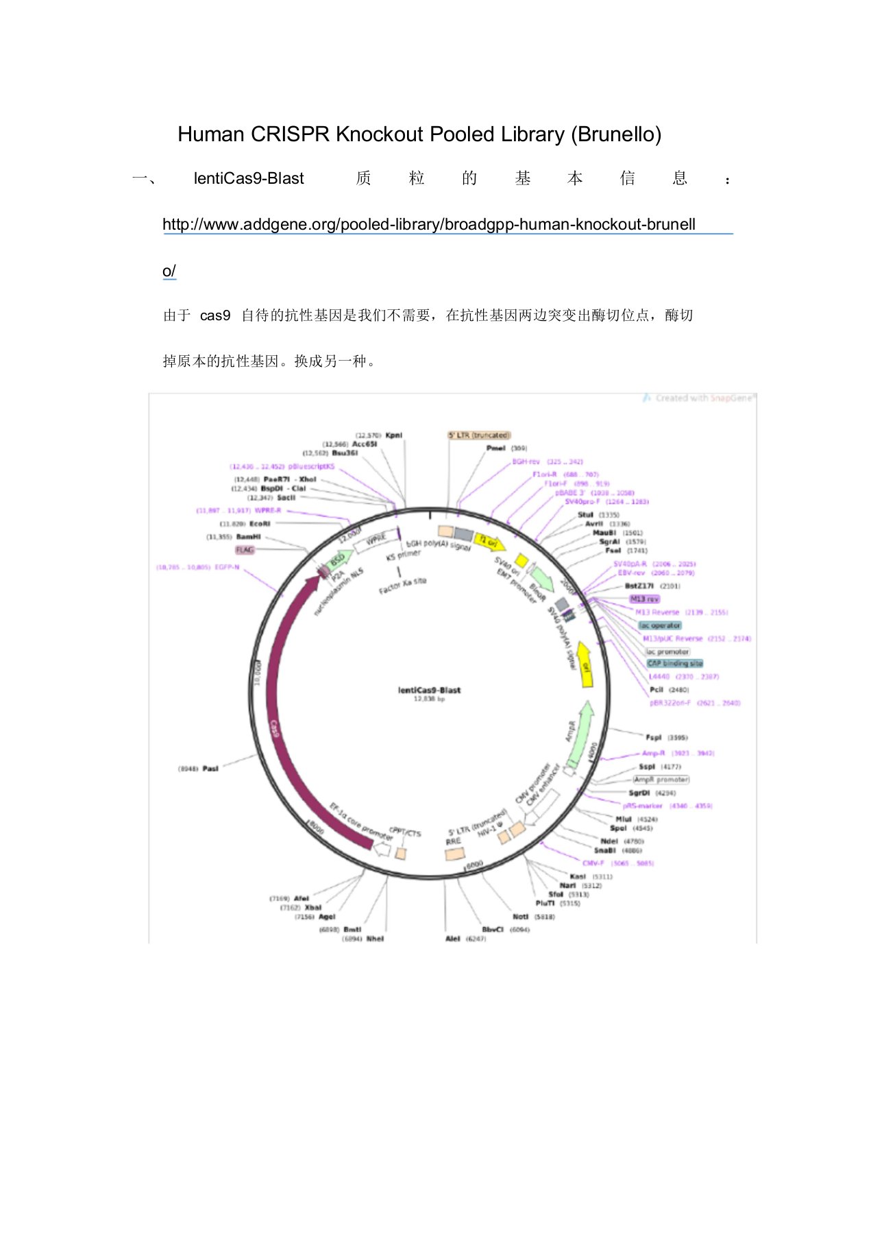 crisprcas9进行全基因组的筛选