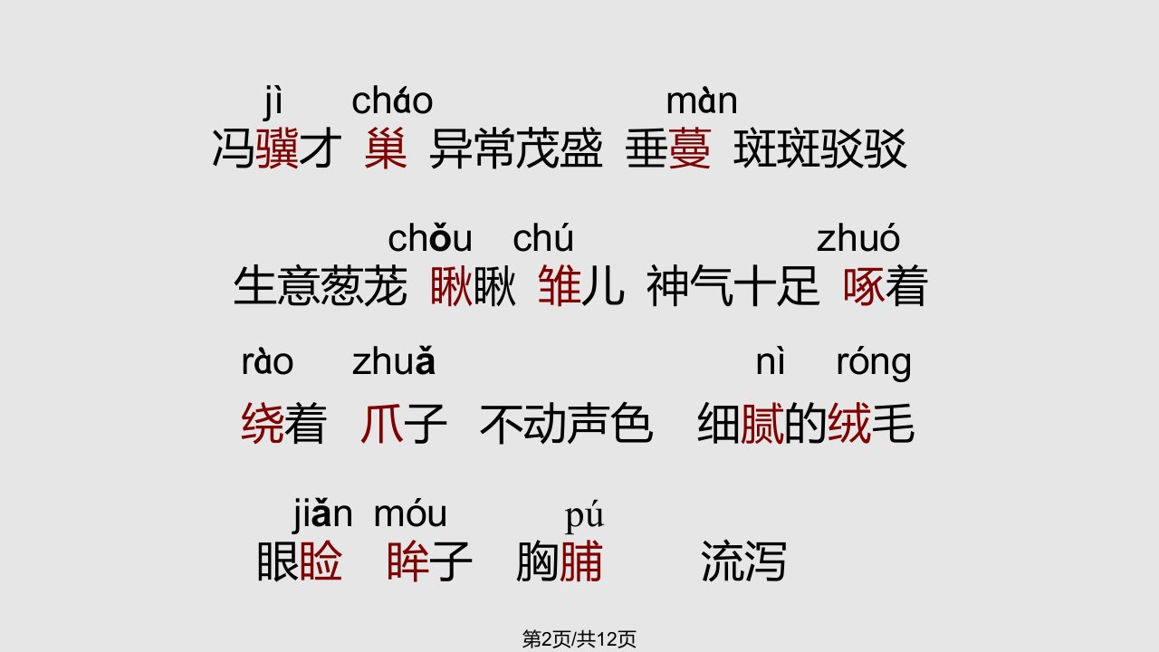 小学五年级上册语文珍珠鸟课件