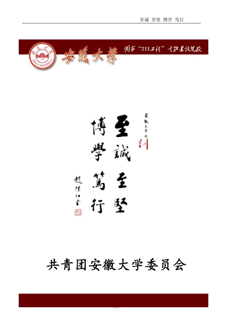 安徽大学赴怀宁县江镇镇暑期实践重点团队策划书—胡江华