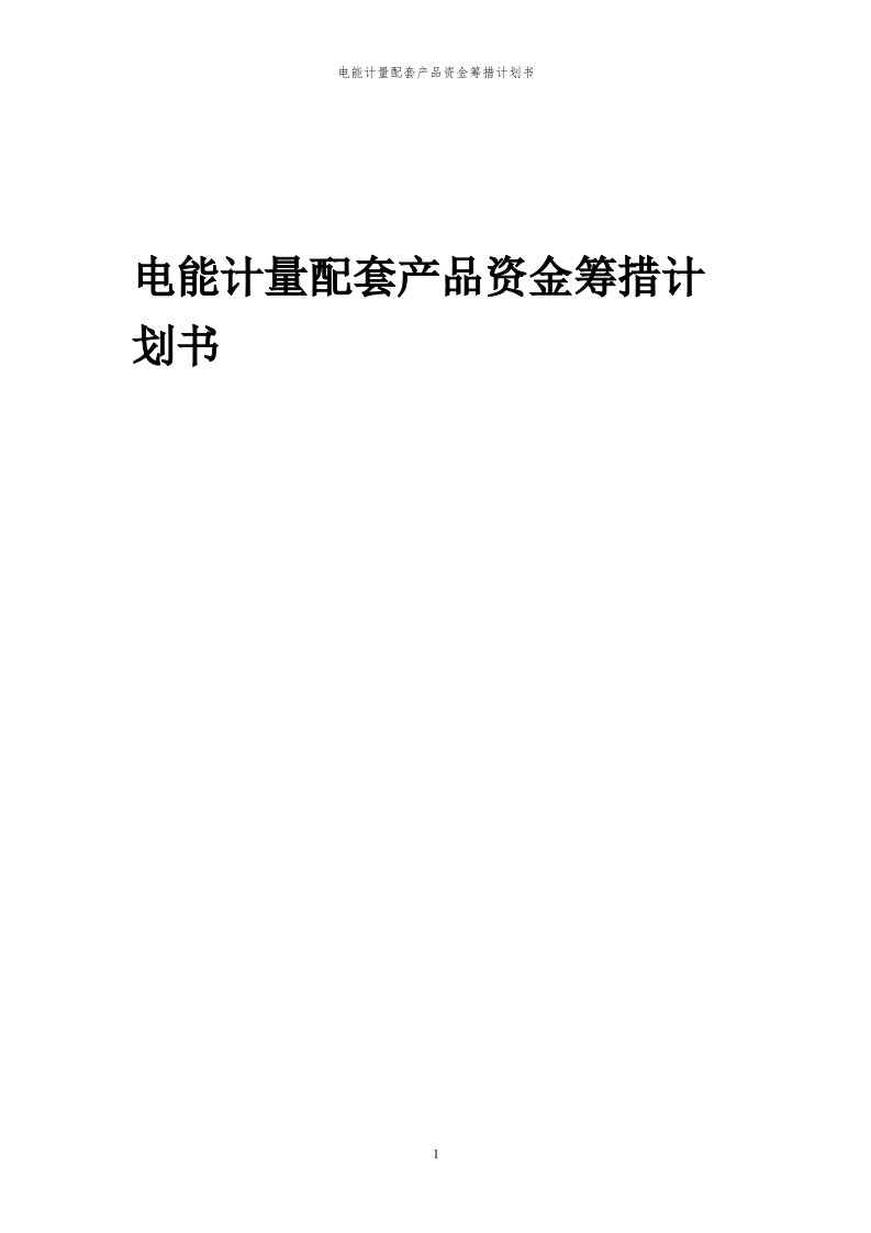 2024年电能计量配套产品资金筹措计划书代可行性研究报告