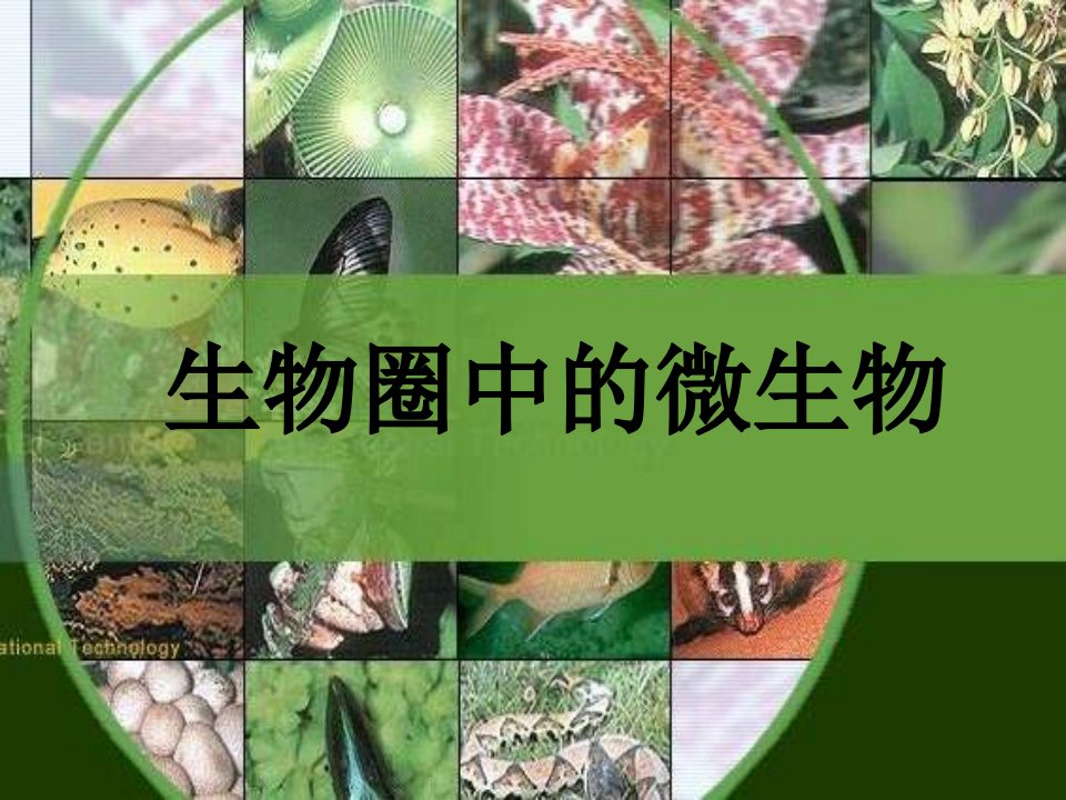 北师大版生物八上第十八《章