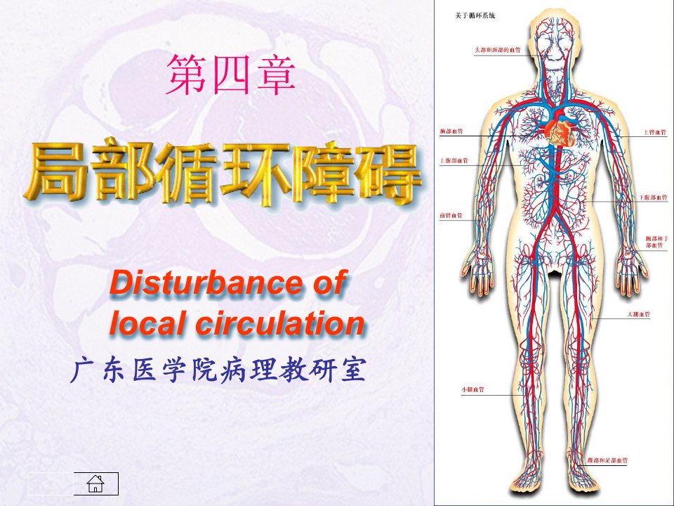 局部血液及体液循环障碍