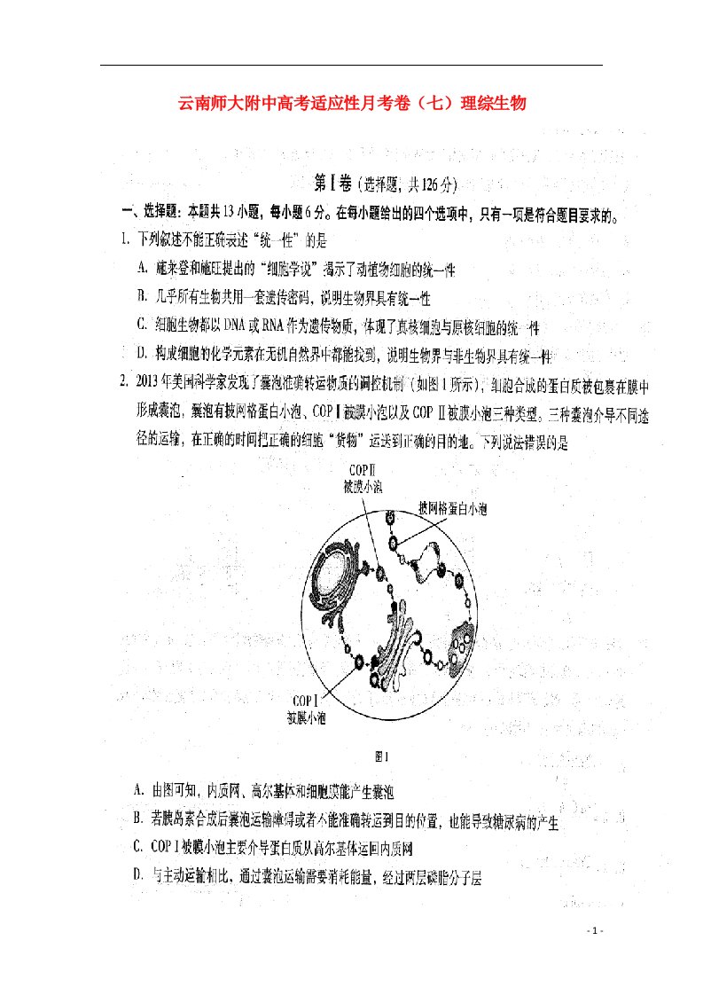 云南省师范大学附属中学高三理综（生物部分）下学期适应性考试试题（七）（扫描版）