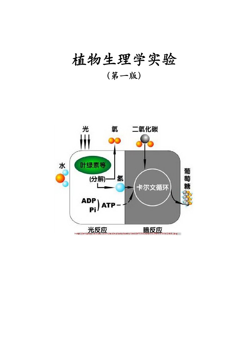 植物生理学实验讲义