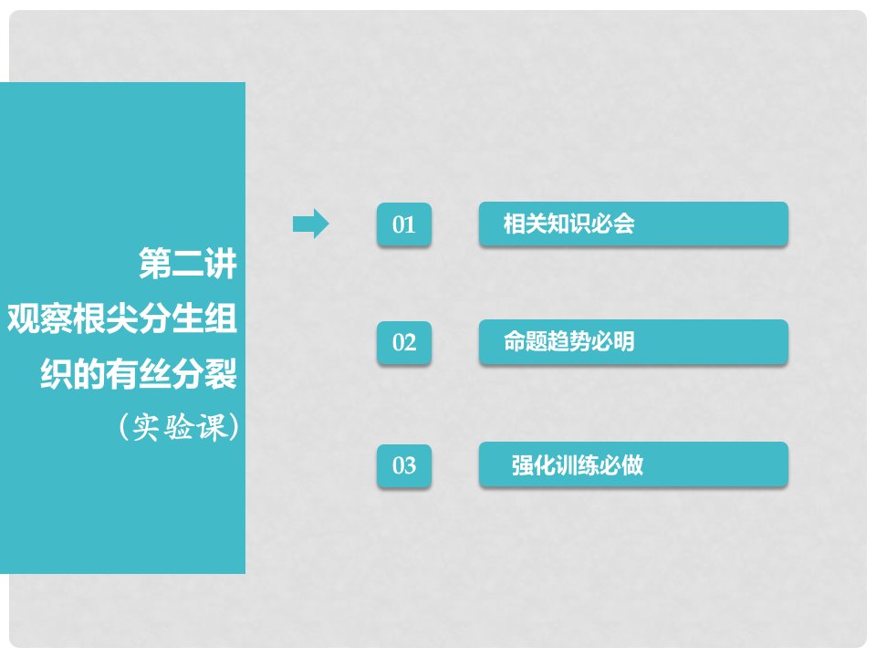 高考生物一轮复习