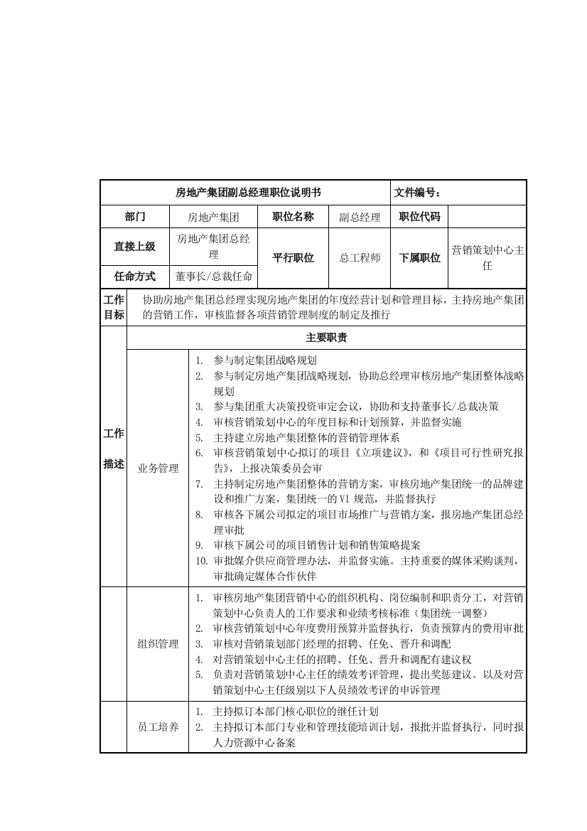 房地产集团副总经理岗位说明书